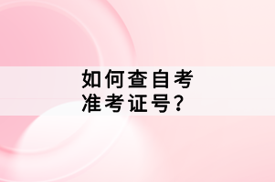 如何查自考準考證號？