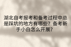 湖北自考報(bào)考和備考過(guò)程中總是踩坑的地方有哪些？備考新手小白怎么開展？