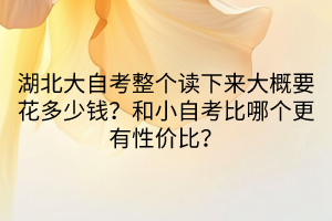 湖北大自考整個讀下來大概要花多少錢？和小自考比哪個更有性價比？