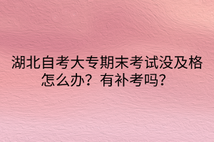 湖北自考大專期末考試沒及格怎么辦？有補考嗎？