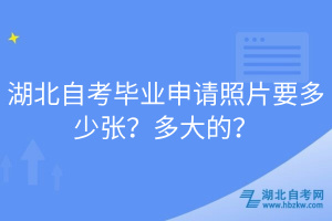 湖北自考畢業(yè)申請照片要多少張？多大的？