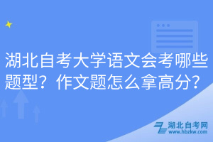 湖北自考大學(xué)語文會考哪些題型？作文題怎么拿高分？