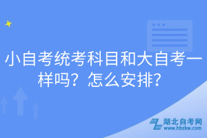 小自考統(tǒng)考科目和大自考一樣嗎？怎么安排？