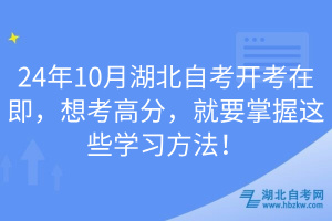 24年10月湖北自考開考在即，想考高分，就要掌握這些學習方法！