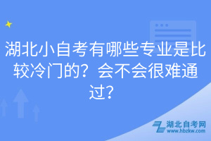 湖北小自考有哪些專業(yè)是比較冷門的？會(huì)不會(huì)很難通過(guò)？