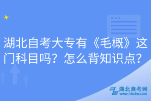 湖北自考大專有《毛概》這門科目嗎？怎么背知識(shí)點(diǎn)？