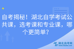 自考揭秘！湖北自學考試公共課，選考課和專業(yè)課，哪個更簡單？