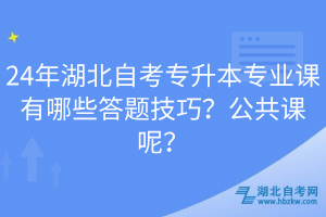 24年湖北自考專升本專業(yè)課有哪些答題技巧？公共課呢？