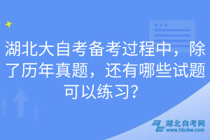 湖北大自考備考過程中，除了歷年真題，還有哪些試題可以練習(xí)？