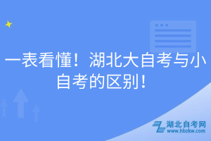 一表看懂！湖北大自考與小自考的區(qū)別！