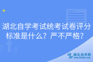 湖北自學(xué)考試統(tǒng)考試卷評(píng)分標(biāo)準(zhǔn)是什么？嚴(yán)不嚴(yán)格？