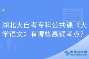 湖北大自考專科公共課《大學語文》有哪些高頻考點？