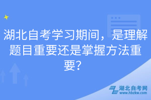 湖北自考學(xué)習(xí)期間，是理解題目重要還是掌握方法重要？