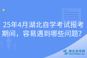 25年4月湖北自學(xué)考試報(bào)考期間，容易遇到哪些問題？