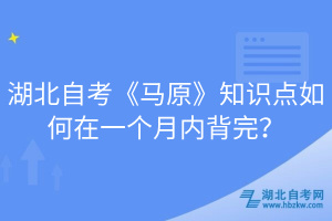 湖北自考《馬原》知識(shí)點(diǎn)如何在一個(gè)月內(nèi)背完？