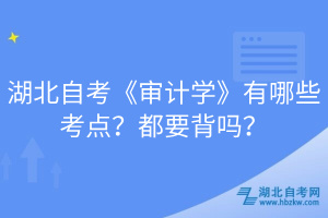 湖北自考《審計(jì)學(xué)》有哪些考點(diǎn)？都要背嗎？