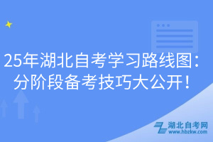 25年湖北自考學習路線圖：分階段備考技巧大公開！