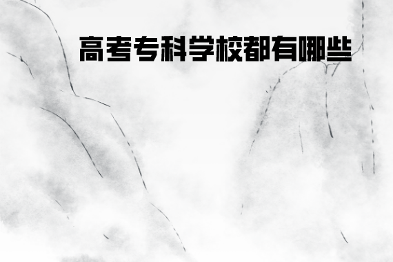 高考?？茖W校都有哪些