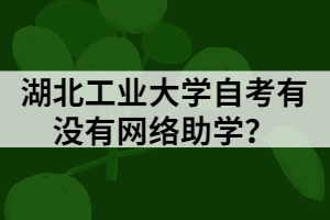湖北工業(yè)大學自考有沒有網絡助學？