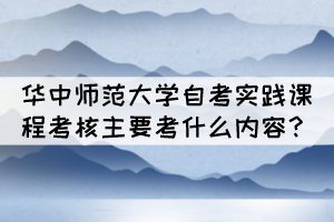 華中師范大學(xué)自考實(shí)踐課程考核主要考什么內(nèi)容？