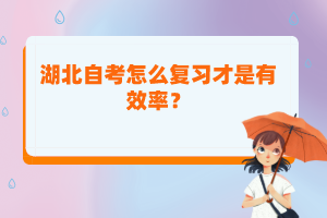 湖北自考怎么復習才是有效率？