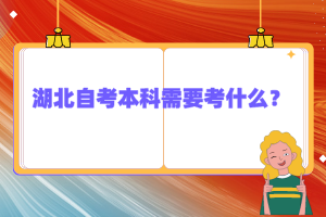 湖北自考本科需要考什么？