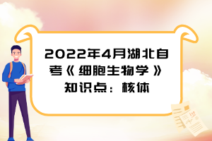 2022年4月湖北自考《細(xì)胞生物學(xué)》知識(shí)點(diǎn)：核體