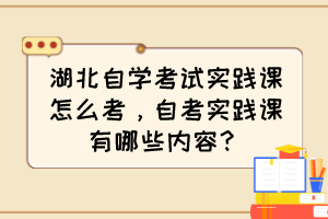 湖北自學考試實踐課怎么考，自考實踐課有哪些內(nèi)容？