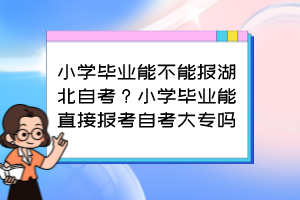 小學(xué)畢業(yè)能不能報湖北自考？小學(xué)畢業(yè)能直接報考自考大專嗎？