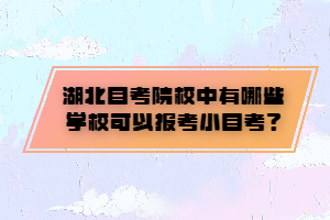 湖北自考院校中有哪些學(xué)?？梢詧?bào)考小自考？