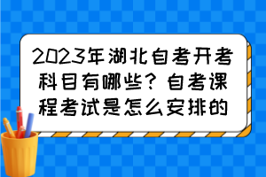 2023年湖北自考開考科目有哪些？自考課程考試是怎么安排的？