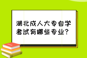 湖北成人大專自學考試有哪些專業(yè)？