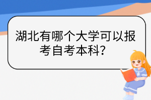 湖北有哪個大學可以報考自考本科？