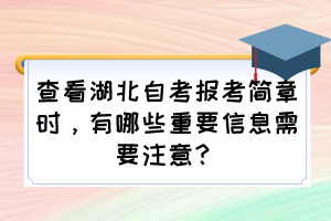 查看湖北自考報(bào)考簡章時，有哪些重要信息需要注意？