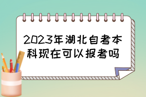 2023年湖北自考本科現在可以報考嗎？