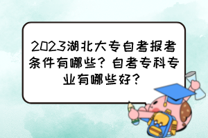 2023湖北大專自考報考條件有哪些？自考?？茖I(yè)有哪些好？