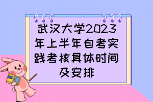 武漢大學(xué)2023年上半年自考實踐考核具體時間及安排