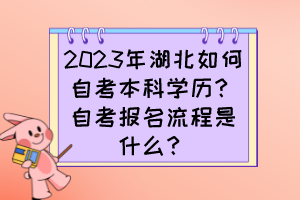 2023年湖北如何自考本科學(xué)歷？自考報名流程是什么？