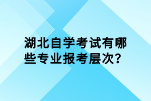 湖北自學(xué)考試有哪些專業(yè)報考層次？