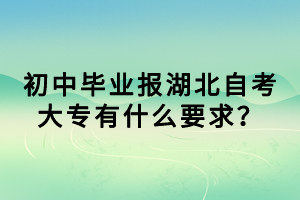 初中畢業(yè)報湖北自考大專有什么要求？