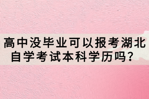 高中沒畢業(yè)可以報考湖北自學考試本科學歷嗎？