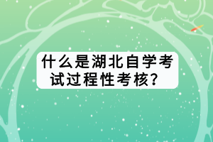 什么是湖北自學(xué)考試過程性考核？