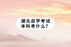 湖北自學(xué)考試本科考什么？