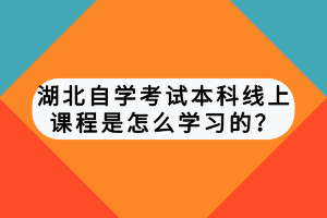 湖北自學考試本科線上課程是怎么學習的？