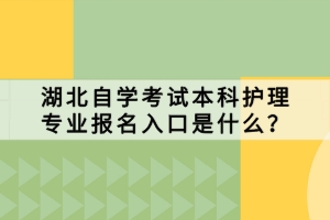 湖北自學(xué)考試本科護(hù)理專業(yè)報(bào)名入口是什么？