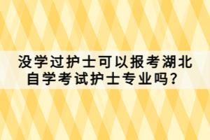 沒學過護士可以報考湖北自學考試護士專業(yè)嗎？