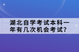 湖北自學考試本科一年有幾次機會考試？