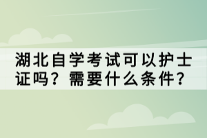 湖北省高等教育自學(xué)考試服務(wù)平臺官網(wǎng)是什么？