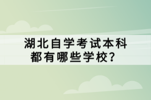 湖北自學考試本科都有哪些學校？