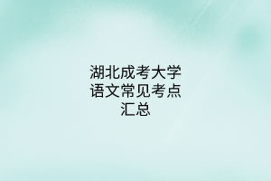 湖北成考大學(xué)語文常見考點(diǎn)匯總